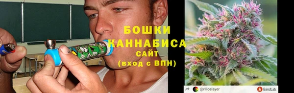 трава Аркадак