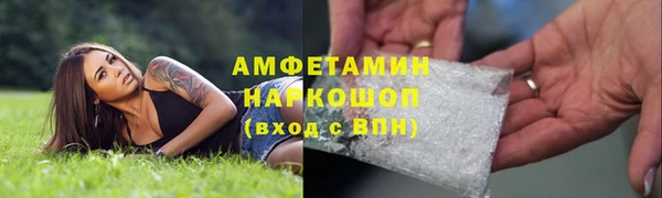 трава Аркадак