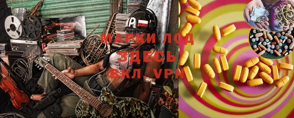 трава Аркадак